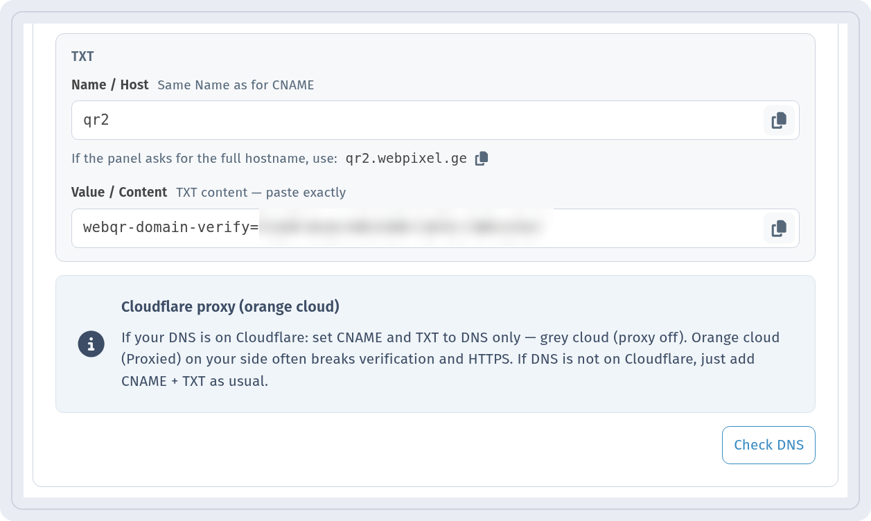 DNS setup: TXT record, Cloudflare proxy note and the Check DNS button (verification value hidden)